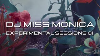 Experimental Sessions 01  Slow Techno  DJ Miss Monica [upl. by Ahseenal]