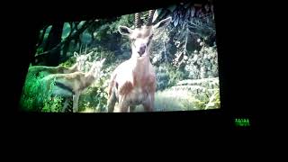 Hakuna Matata  El Rey León Live Action 2019 [upl. by Darsey178]