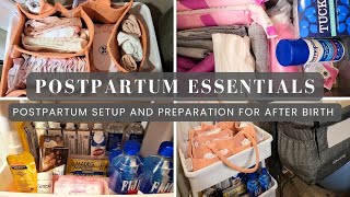 Postpartum Pregnancy Essentials featuring Frida Mom Baby Necessities Snacks Personal Care amp More [upl. by Severn]