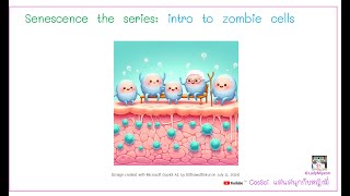 Senescence the series introduction to zombie cells [upl. by Niemad]