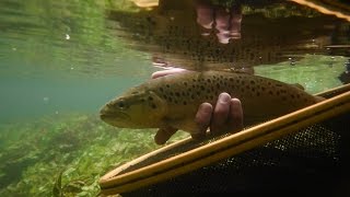 Chalkstream fly fishing with Fishing Breaks  wwwfishingbreakscouk [upl. by Darraj]