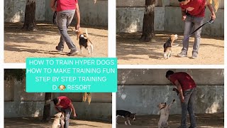 how to train dogs  dog ko training kaise de  D Resort jodhpur  training methods step by step [upl. by Suoicerp]