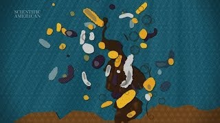 Can Microbes Clean Up Our Oily Mess  Instant Egghead 58 [upl. by Koval158]