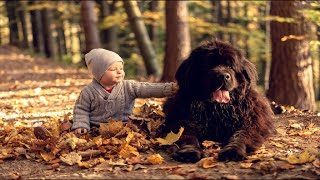 Babies Playing With Newfoundland Dogs [upl. by Blanche50]