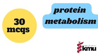 Protein Metabolism  second semester chapter wise mcqs  kmu mcqs [upl. by Neill]