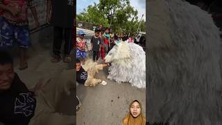 Maunya makan bocil barongan dramacanmacanan barongsai canmacananofficial animals macan funny [upl. by Loram]