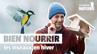 7 règles d’or pour nourrir les oiseaux en hiver No 369 [upl. by Maleeny]