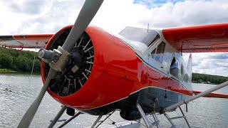 Pilots Dream DHC2 Beaver Left Seat Checkout  Why I went to Alaska [upl. by Elleira]