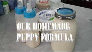 HOMEMADE PUPPY FORMULA RECIPE MILK REPLACEMENT [upl. by Prentiss815]