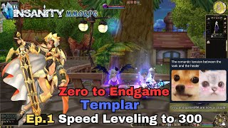 Insanity FlyFF  ZTE Templar Series Ep1  Speed Leveling [upl. by Ihcehcu]