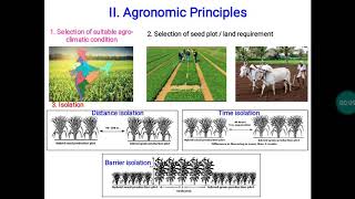 Agronomic principles pertaining to seed production  DrTEevera APSST [upl. by Vasiliu]