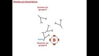 Mécanisme de lhémagglutination [upl. by Silrak]