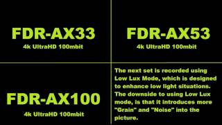 Sony Side by Side Samples FDRAX33 FDRAX53 FDRAX100 4k UltraHD Choices [upl. by Wey979]