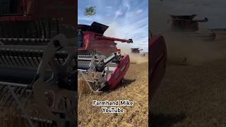 Wheat Harvest 2024 with Paplow Harvesting [upl. by Standley]