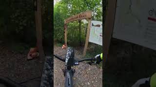 schwalbe Nobbynic auf dem santacruzmtb Der Test im Herbst mtblife mountainbike [upl. by Shurlock208]