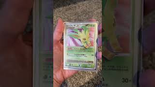 I bought every Leafeon card ever made 😳 [upl. by Nnayd]