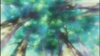 Mushiking OST The dream of forest village  Sonyuka legend [upl. by Nimoynib]