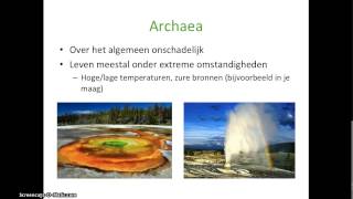 Basisstof 2  De domeinen bacteriën en archaea Thema 4  Ordening [upl. by Civ]