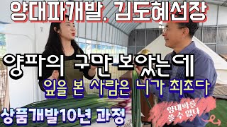 양대파는 얼마만에 생산되나요 양대파재배방법 창업의 성공조건은 귀농소득작목 인간극장양대파 양대파특허과정 농상품개발과정이렇게한다양대파 21 [upl. by Athallia]