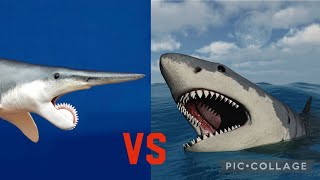 Parahelicoprion VS Otodus chubutensis [upl. by Ahseenyt873]