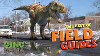 Best of Dino Dan Treks Adventures and Dino Dana Field Guides [upl. by Bettencourt]