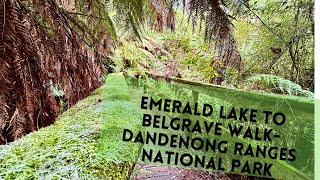 Emerald Lake to Belgrave WalkDandenong Ranges National Park [upl. by Samuelson]