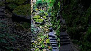 Müllerthal trail Echternach wolfsschlucht 🌎🌌⛰️ hiking natur waterfall travelling wandern love [upl. by Kleiman]