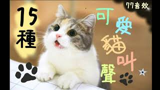 15種可愛 貓叫聲 貓叫音效 貓咪叫聲 🐈 │77免費音效 [upl. by Callum]