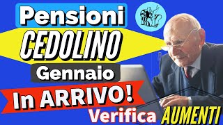 PENSIONI 👉 CEDOLINO GENNAIO CON GLI AUMENTI IN ARRIVO❗️Verifica NUOVI IMPORTI NETTI della pensione ✅ [upl. by Arahsat]