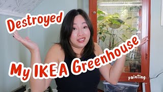 DESTROYED MY IKEA GREENHOUSE  Plant updates [upl. by Laon]