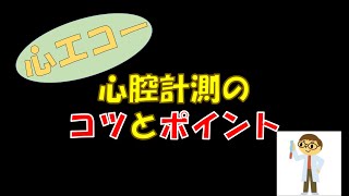 【心エコー】丁寧なBモード計測をするためのポイント！ [upl. by Sarchet]