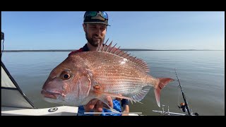 Westernport is heating up Snapper fishing early season [upl. by Selima]