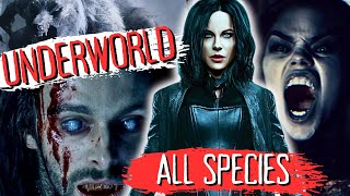 EVERY SINGLE Species From Underworld ExplainedAll Films amp Books [upl. by Kussell494]