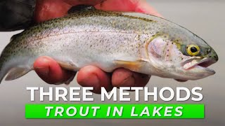 TOP 3 Trout Fishing Tactics For Lakes amp Ponds IN DEPTH HOW TO [upl. by Barbara]