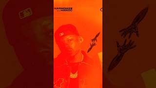 HARMONIZE X MARIOO  Disconet  Official Audio [upl. by Euqinamod]