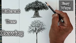 To learn how to draw two different types of trees [upl. by Akinit]