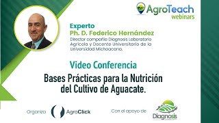 Bases Practicas para la Nutrición del Cultivo de Aguacate [upl. by Faythe]