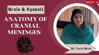 Anatomy of Cranial Meninges  Bangla Demonstration of Cranial Meninges  Viscera of Meninges [upl. by Haberman522]