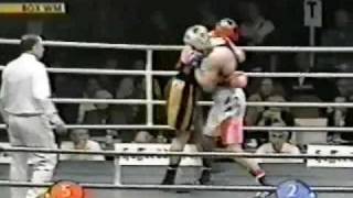 Vladimir Klitschko vs Luan Krasniqi [upl. by Nnylkcaj]