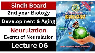 events of neurulation  development and aging  class 12 biology Sindh board New [upl. by Ewer552]