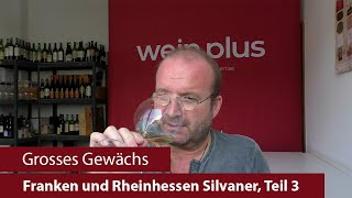 Grosses Gewächs  Nachproben 2023  Franken und Rheinhessen Silvaner Teil 3 [upl. by Jervis]