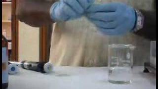 Poly Acrylamide Gel Electrophoresis method [upl. by Marcelo]