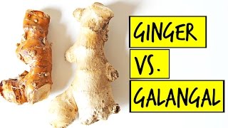 What is the Difference Between Ginger and Galangal [upl. by Enneyehs]