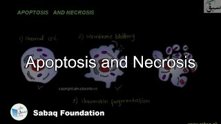 Apoptosis and Necrosis Biology Lecture  Sabaqpk [upl. by Nnylkcaj615]