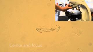 Earth Optics Video 1 Plane Polarized Light [upl. by Hcurab]