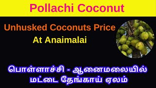 One Piece Coconut Rate At Anaimalai [upl. by Alamac576]