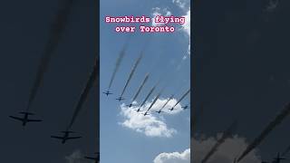 Snowbirds flying over Toronto International Airport snowbirds yyzplanespotting [upl. by Brennan637]