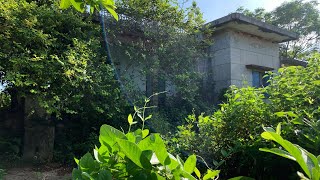 I cleaned an abandoned house for 20 years with overgrown trees  BEAUTIFUL TRANSFORMATION [upl. by Alaikim]