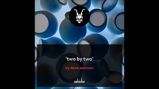 Dave Seaman  Two By Two Original Mix SELADOR [upl. by Ruff]