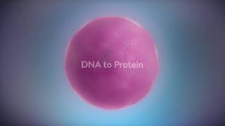 Polysome Profiling [upl. by Illene286]